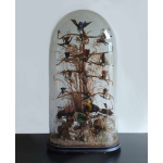 Victoriaanse stolp met o.a. 14 opgezette kolibri's